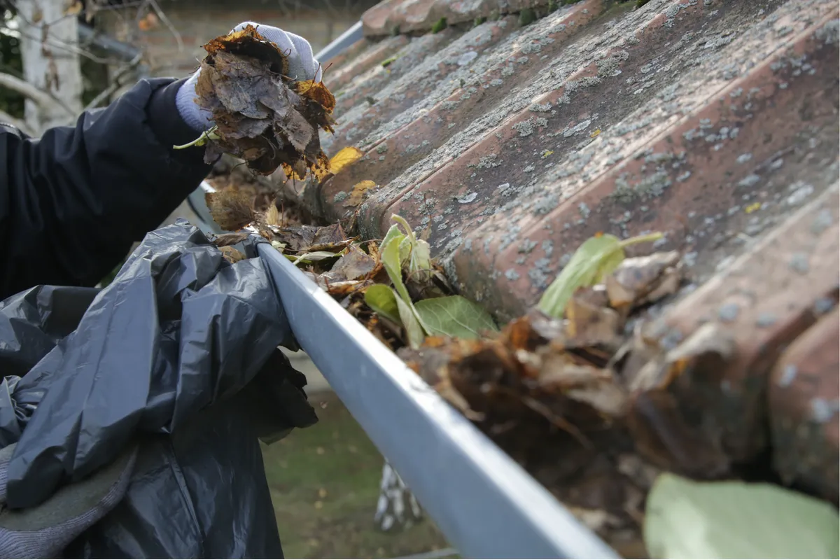 Gutter cleaning service