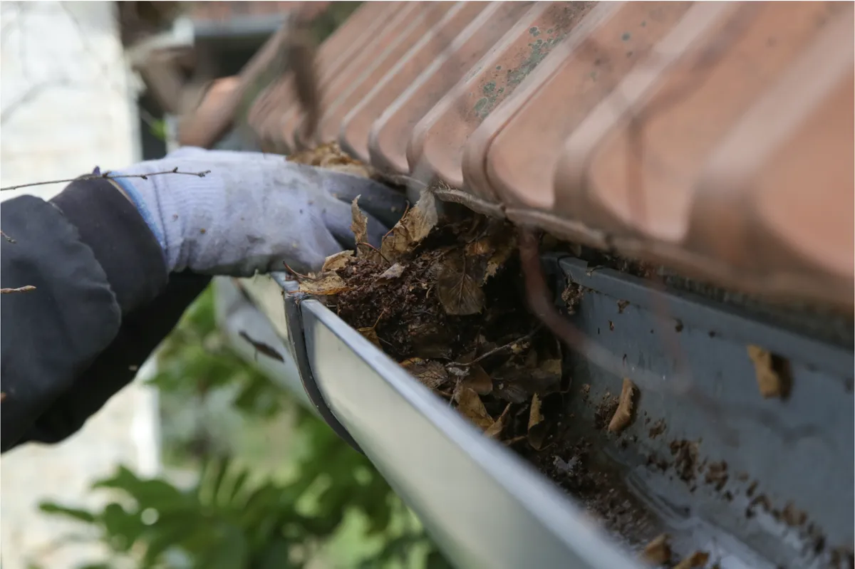Gutter repair service in Leander